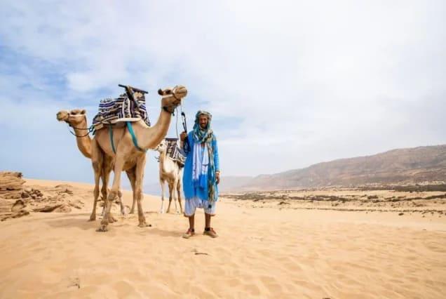 Kamelreiten in Tamraght (Agadir)